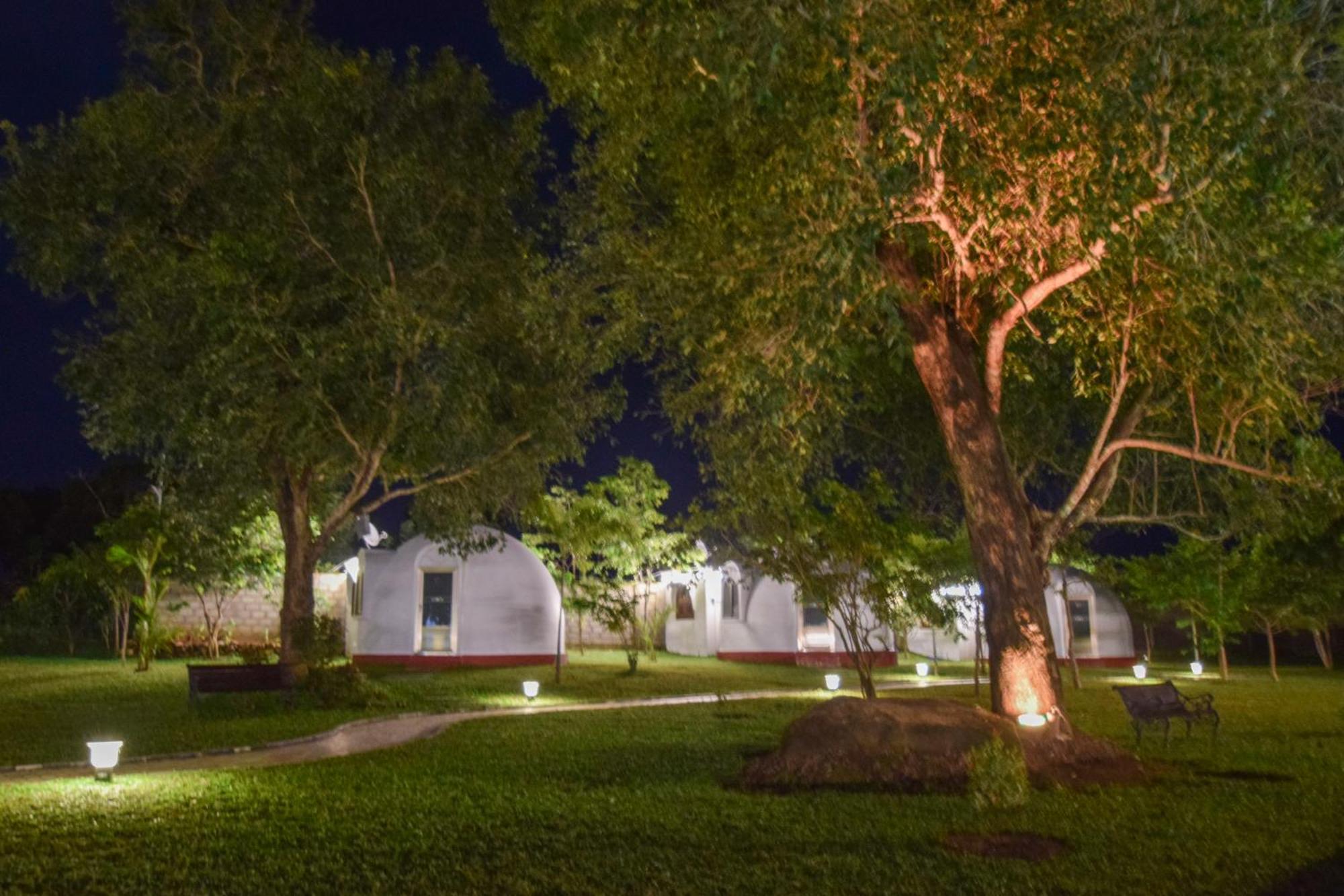 The Lion Kingdom Sigiriya Hotel Exterior photo